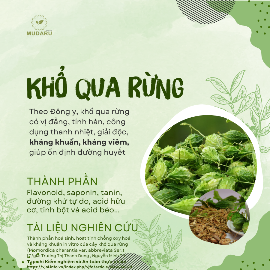 thanh phan vien ngam kho qua rung mudaru